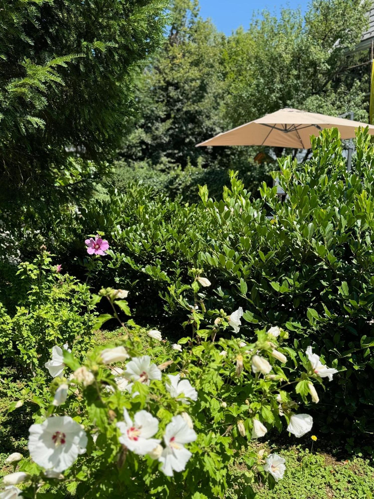 Vila Alice Bled - Adults Only Εξωτερικό φωτογραφία